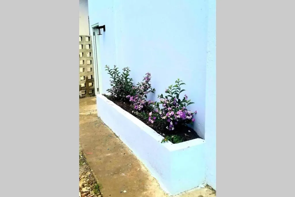 Terrace Studio In Naguabo Historic House 0*,  Puerto Rico
