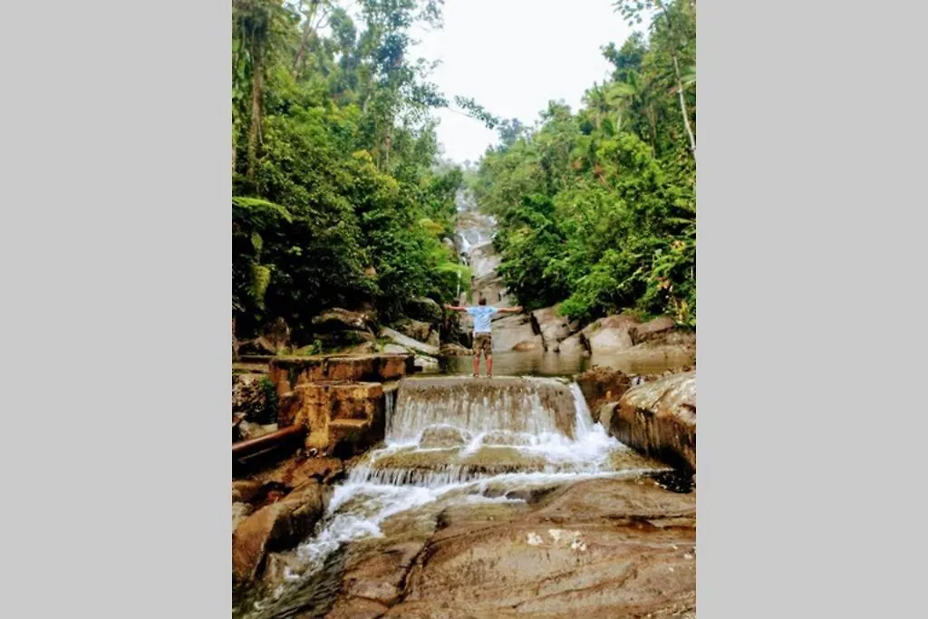Terrace Studio In Naguabo Historic House 0*,