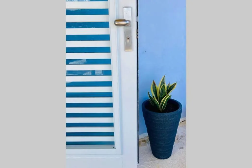 Terrace Studio In Naguabo Historic House Apartment