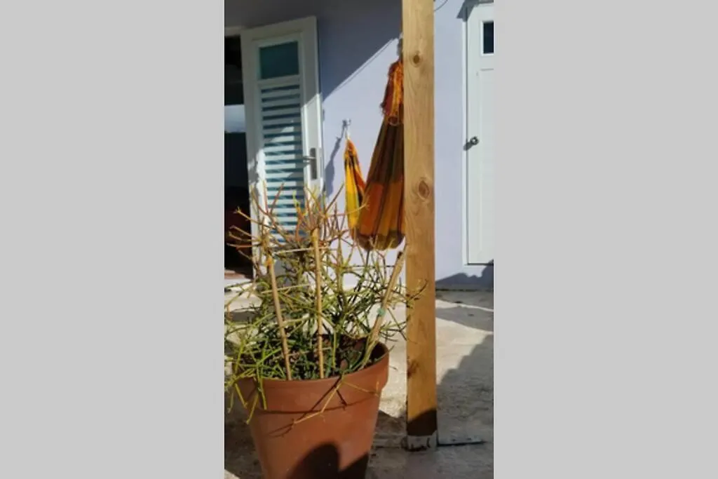 Terrace Studio In Naguabo Historic House 0*,  Puerto Rico