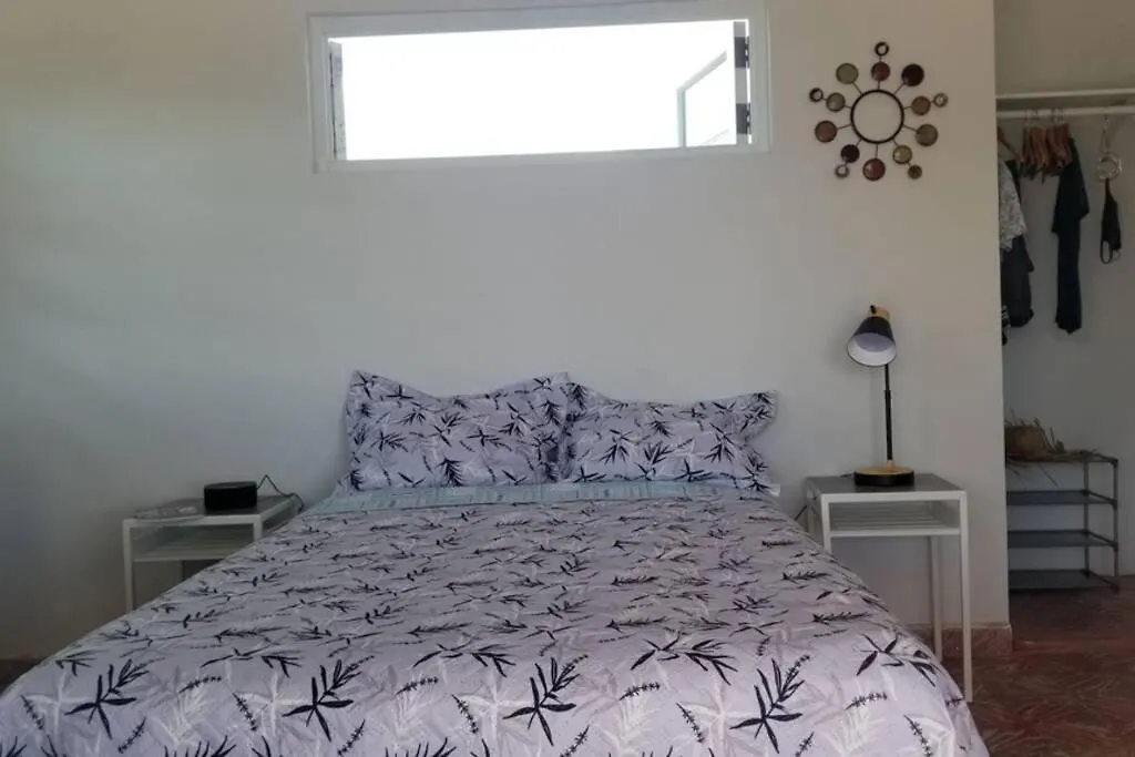 Apartment Terrace Studio In Naguabo Historic House
